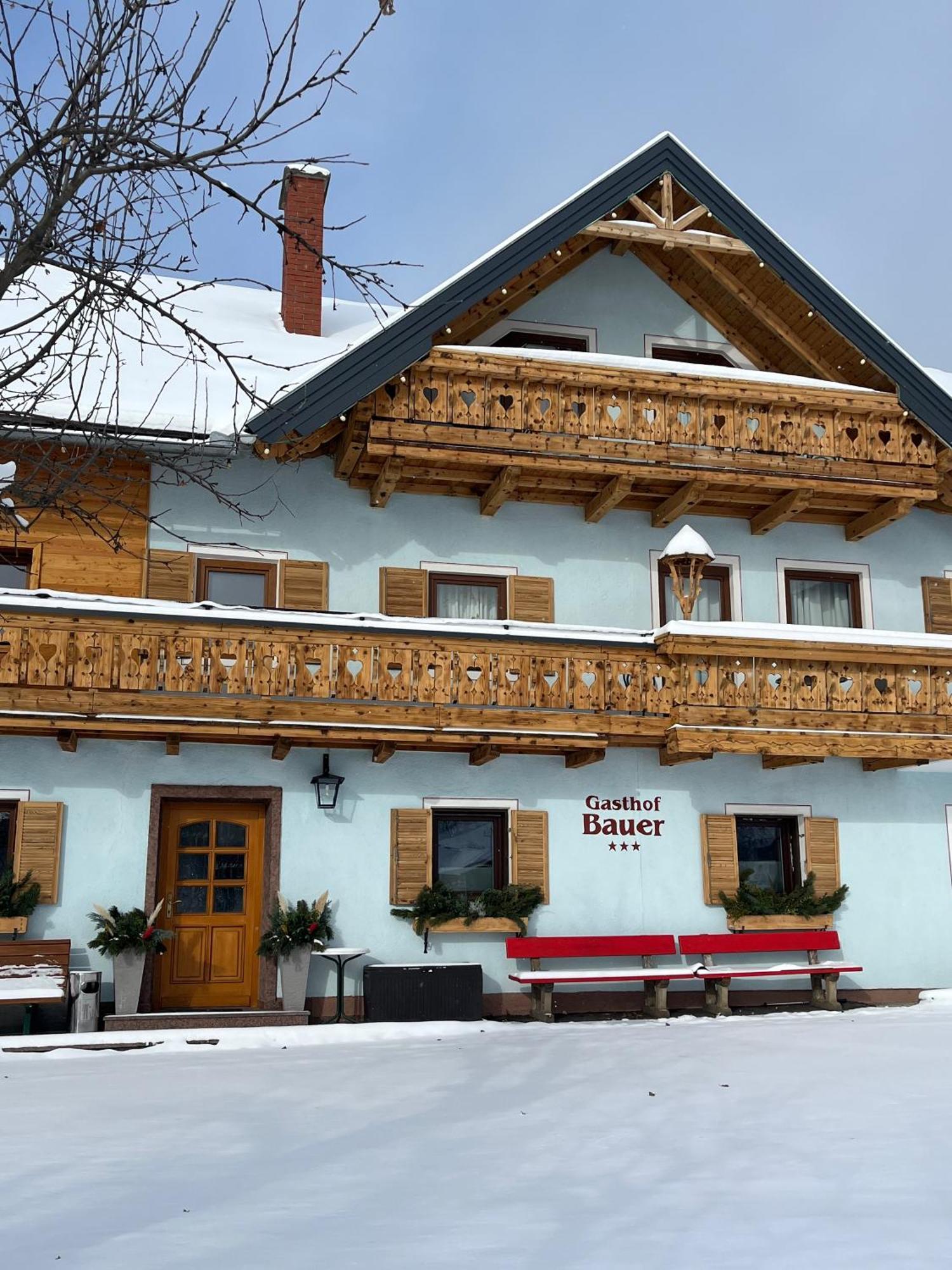 Landhotel - Apartments Bauer Hintergoriach Bagian luar foto
